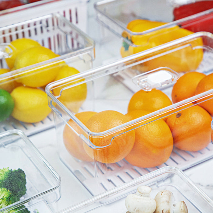 Organizador Clear Fresh 5 Litros