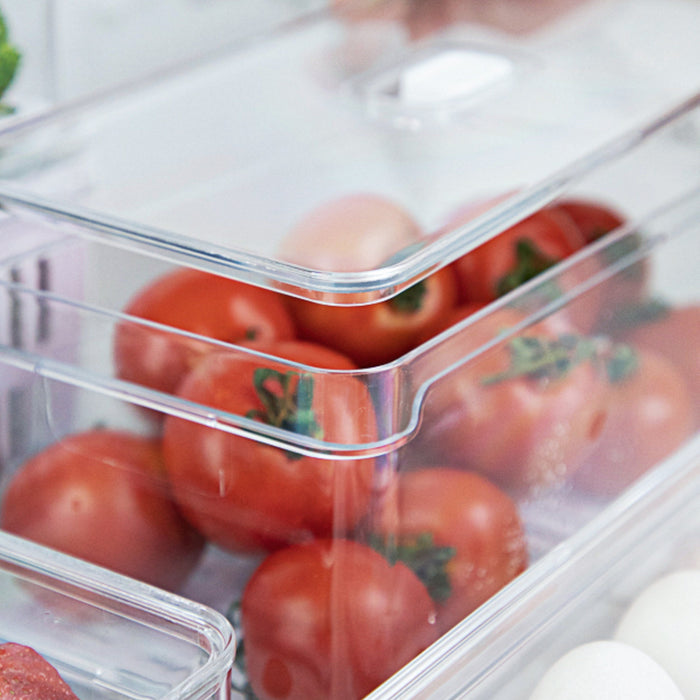 Organizador Clear Fresh 5 Litros