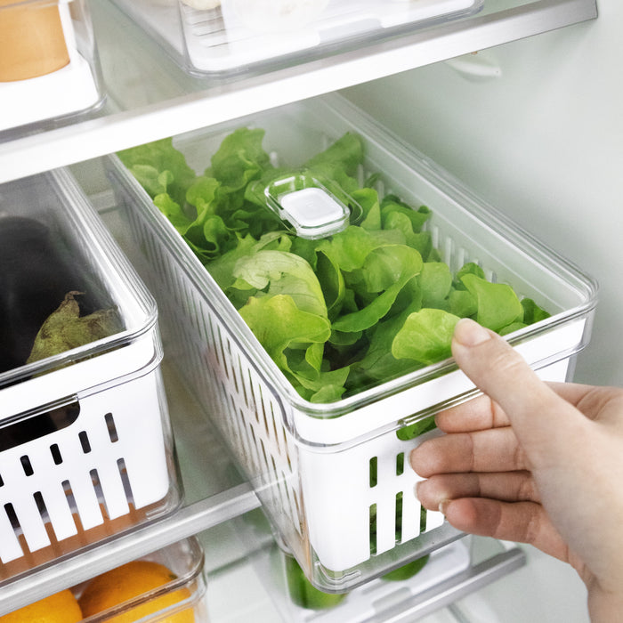 Organizador Clear Fresh con Cesta 5 Litros